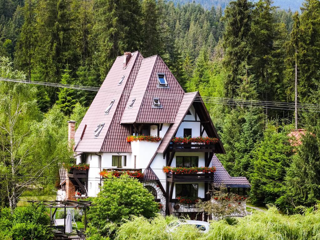 Pensiunea Casa Noastra Arieşeni Exterior foto