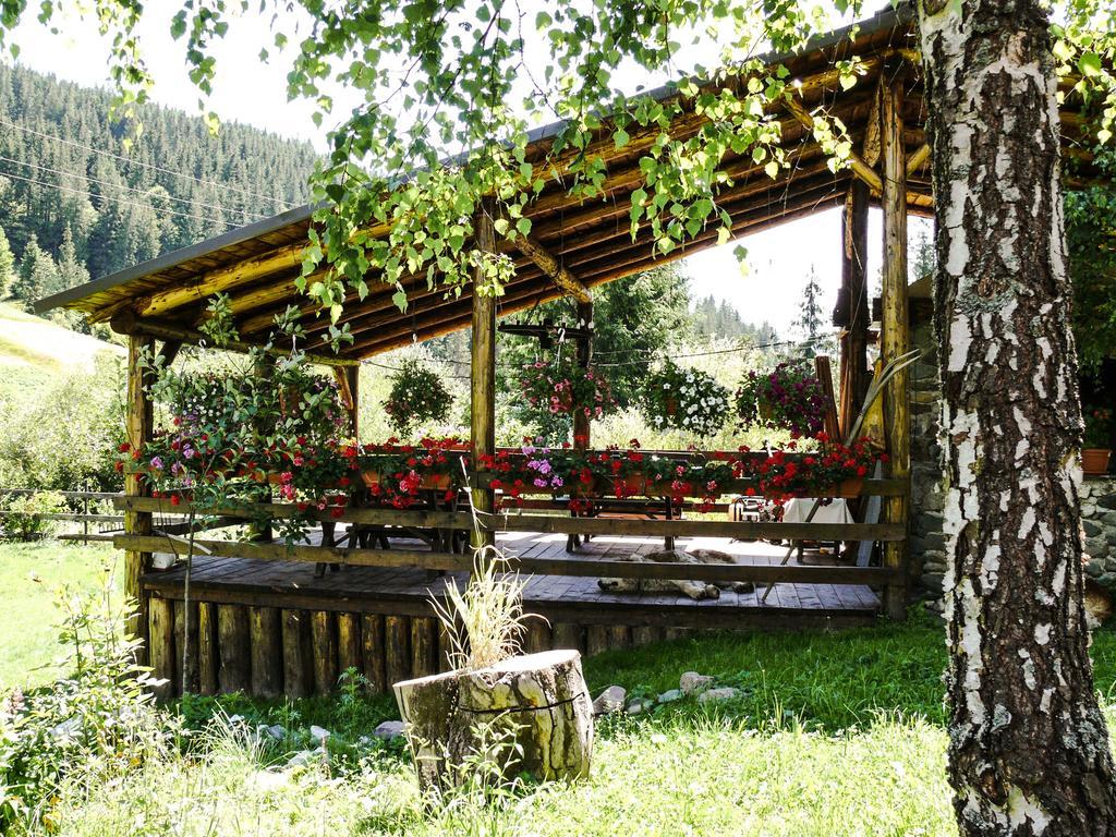 Pensiunea Casa Noastra Arieşeni Exterior foto