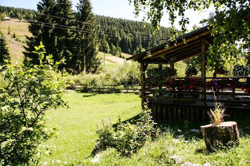 Pensiunea Casa Noastra Arieşeni Exterior foto
